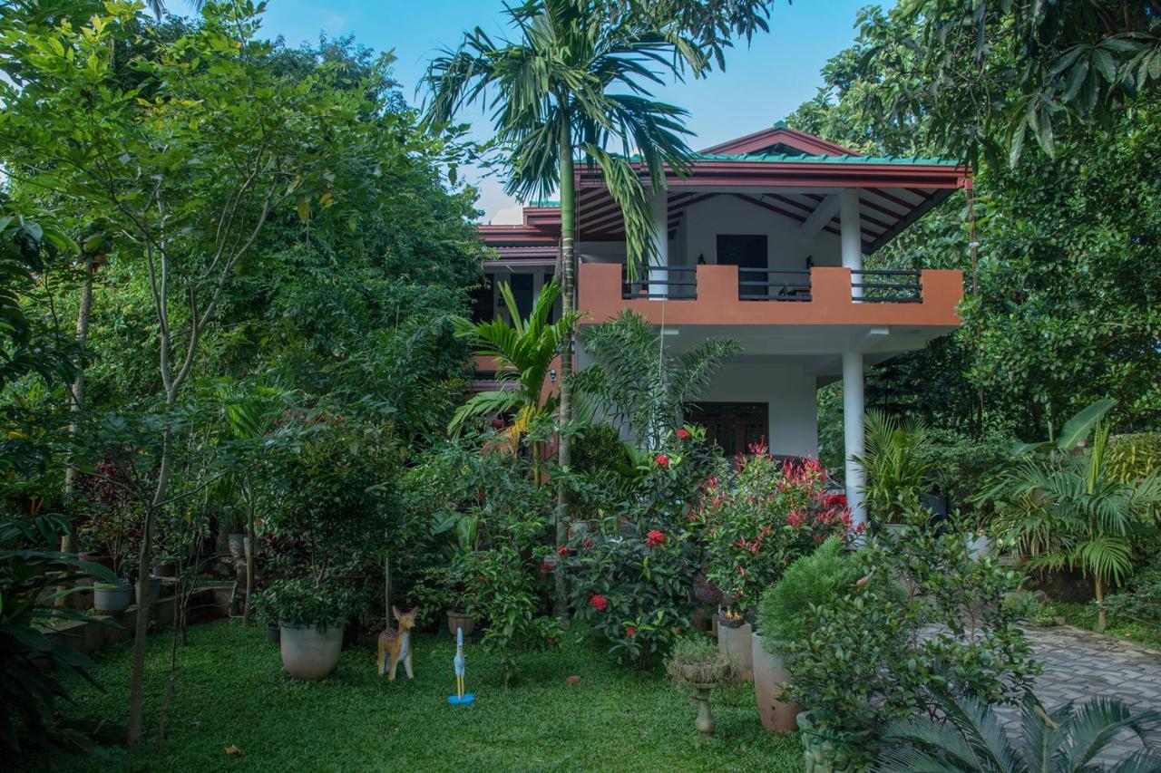 Sadee'S Place Dambulla Dış mekan fotoğraf